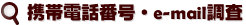 携帯電話番号とe-mail調査